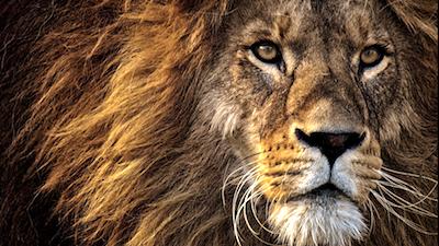 Road to Achievement!