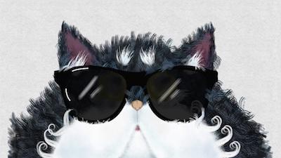 Cool Cat