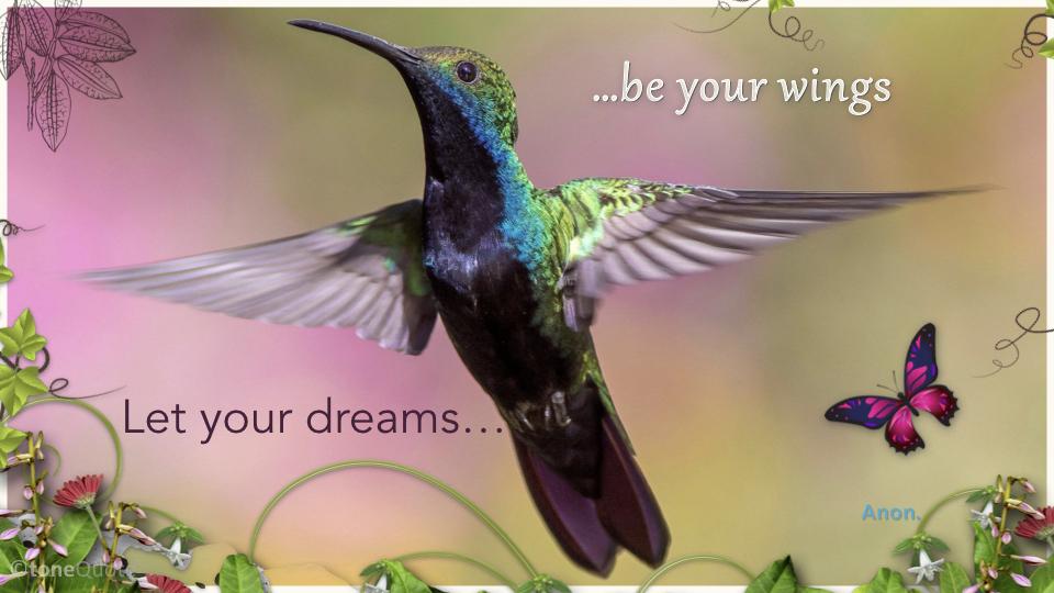 Dreams&Wisheswebpic.001