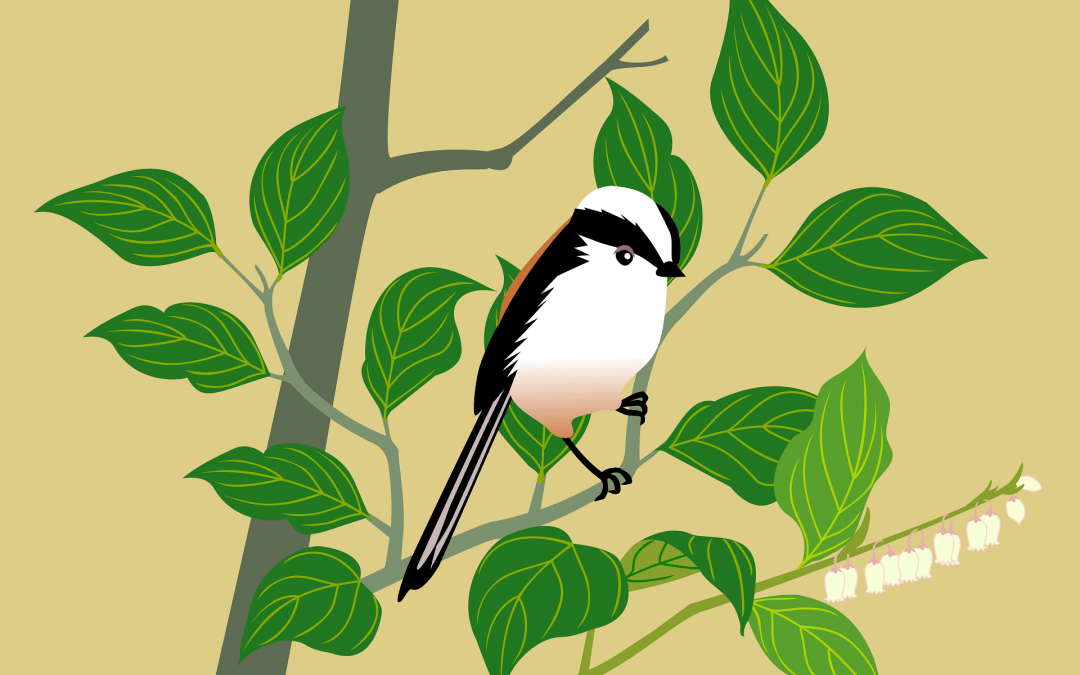 The Delight of Birds