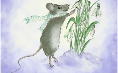 Snowdrops…and cosiness