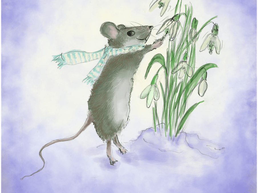 Snowdrops…and cosiness