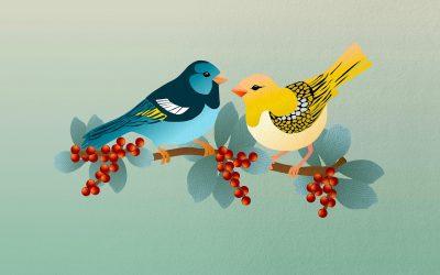 Ten Quotes about Birds